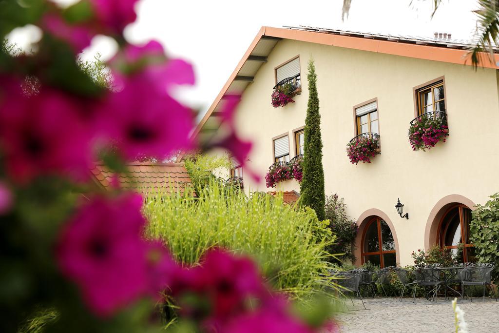 Villa Hochdoerffer Gaestehaus Landau in der Pfalz Dış mekan fotoğraf
