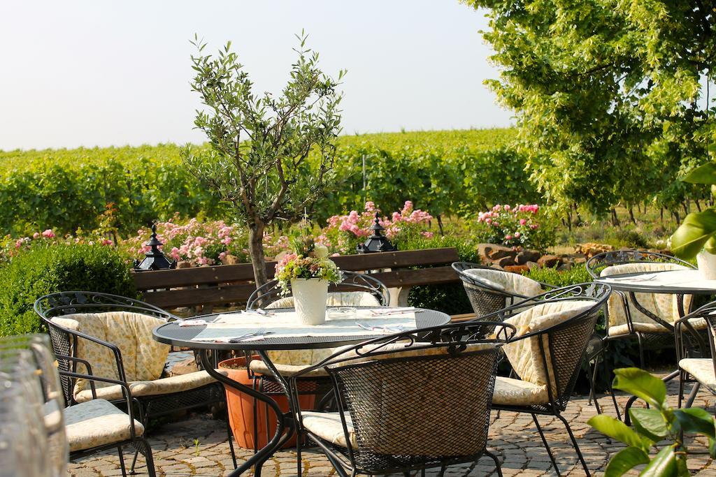 Villa Hochdoerffer Gaestehaus Landau in der Pfalz Dış mekan fotoğraf